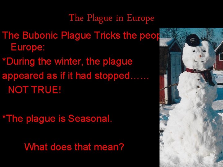 The Plague in Europe The Bubonic Plague Tricks the people of Europe: *During the