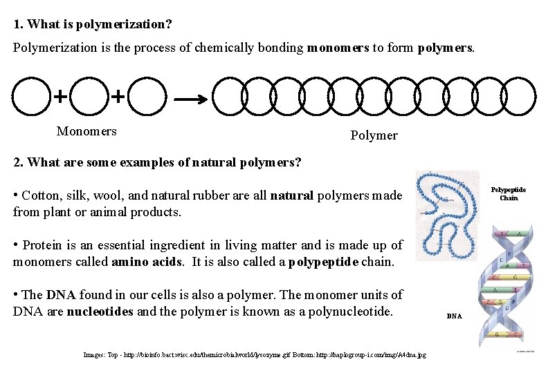 Polymerisation Definition Science 8 th Grade Science Mrs Tracy Trimpe Havana