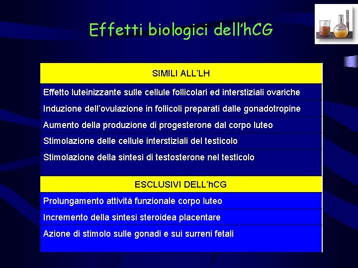 Effetti biologici dell’h. CG SIMILI ALL’LH Effetto luteinizzante sulle cellule follicolari ed interstiziali ovariche