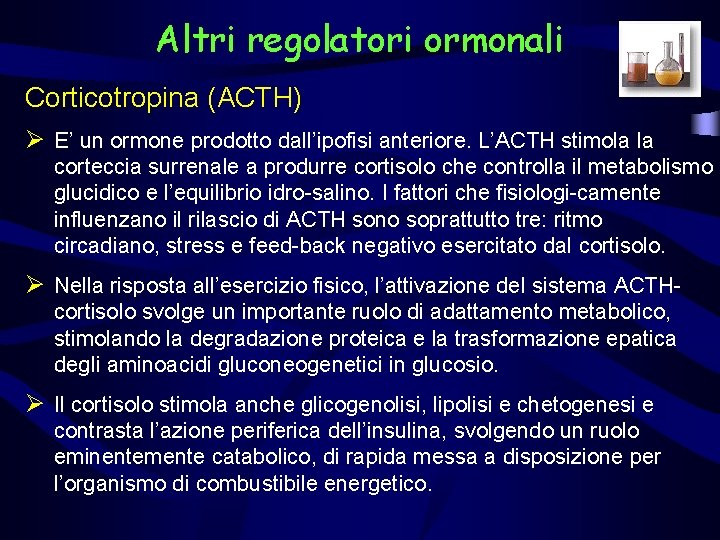 Altri regolatori ormonali Corticotropina (ACTH) Ø E’ un ormone prodotto dall’ipofisi anteriore. L’ACTH stimola