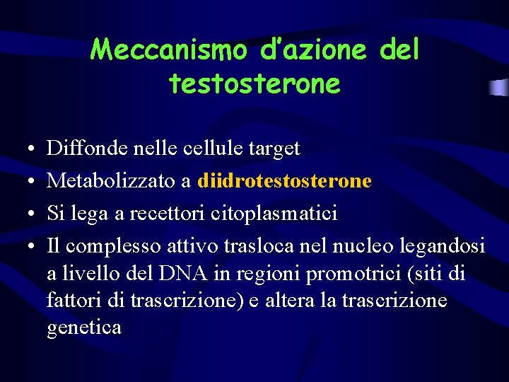 Meccanismo d’azione del testosterone • • Diffonde nelle cellule target Metabolizzato a diidrotestosterone Si