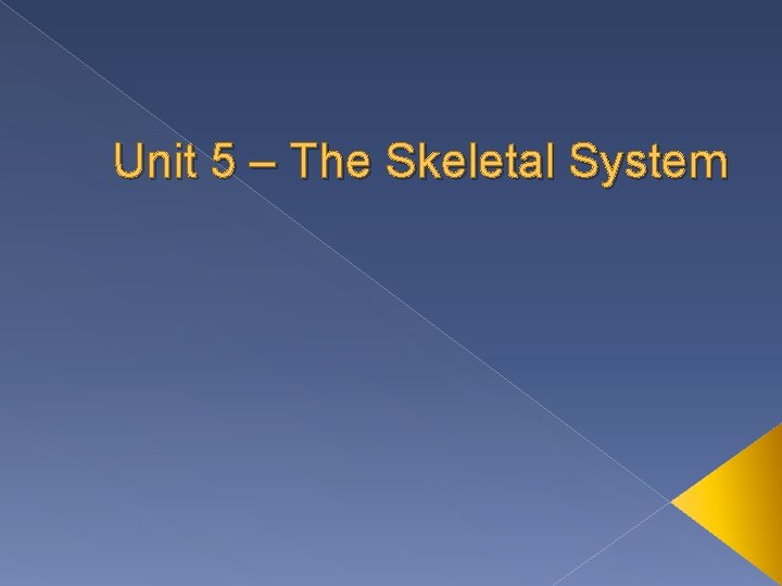 Unit 5 – The Skeletal System 