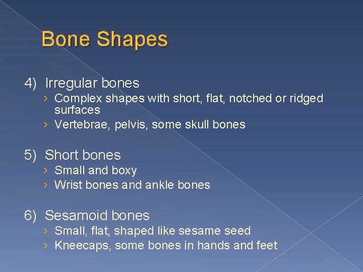 Bone Shapes 4) Irregular bones › Complex shapes with short, flat, notched or ridged