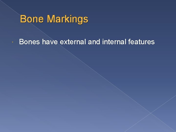 Bone Markings Bones have external and internal features 