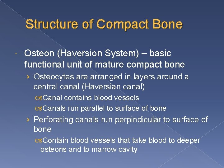 Structure of Compact Bone Osteon (Haversion System) – basic functional unit of mature compact