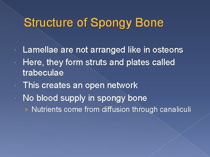Structure of Spongy Bone Lamellae are not arranged like in osteons Here, they form