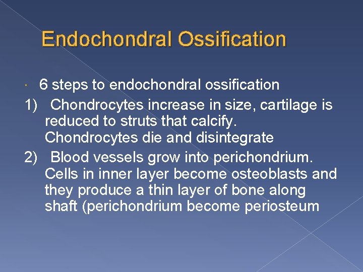 Endochondral Ossification 6 steps to endochondral ossification 1) Chondrocytes increase in size, cartilage is