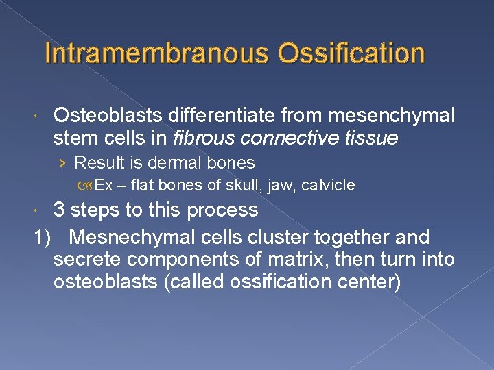 Intramembranous Ossification Osteoblasts differentiate from mesenchymal stem cells in fibrous connective tissue › Result