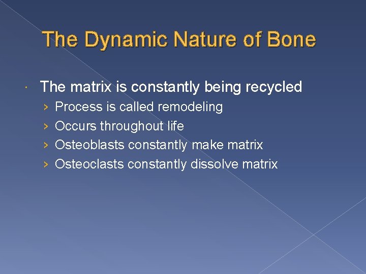 The Dynamic Nature of Bone The matrix is constantly being recycled › › Process