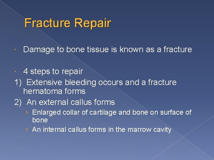 Fracture Repair Damage to bone tissue is known as a fracture 4 steps to