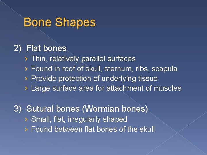 Bone Shapes 2) Flat bones › › Thin, relatively parallel surfaces Found in roof