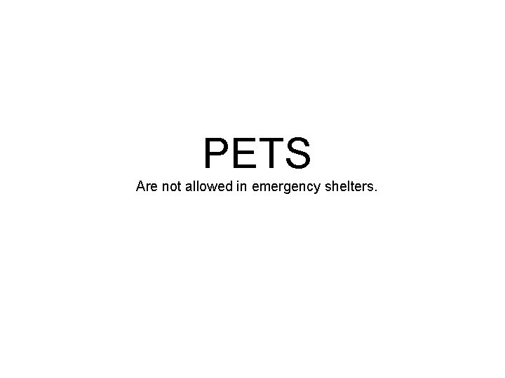 PETS Are not allowed in emergency shelters. 