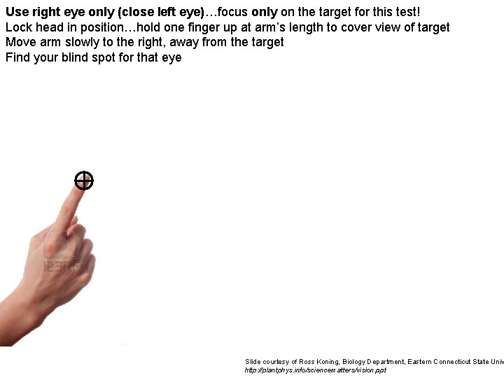 Use right eye only (close left eye)…focus only on the target for this test!