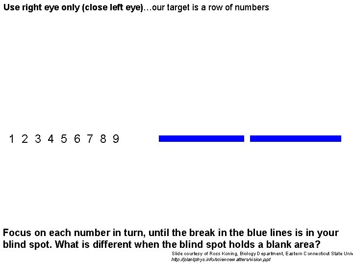 Use right eye only (close left eye)…our target is a row of numbers 1