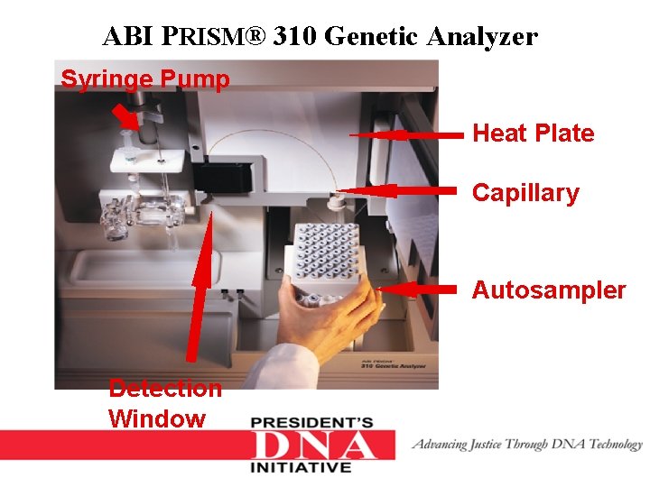 ABI PRISM® 310 Genetic Analyzer Syringe Pump Heat Plate Capillary Autosampler Detection Window 
