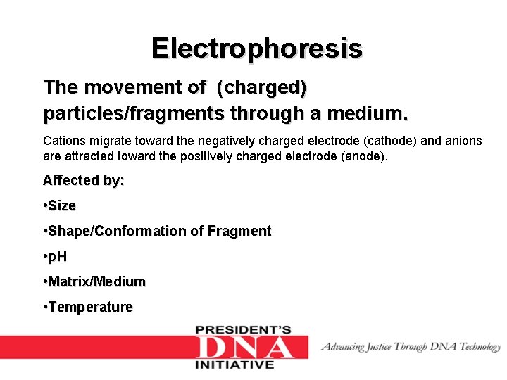 Electrophoresis The movement of (charged) particles/fragments through a medium. Cations migrate toward the negatively