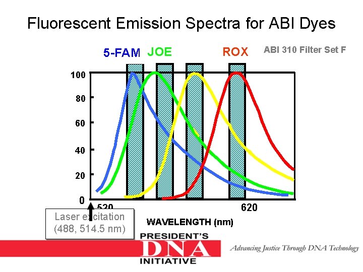 Fluorescent Emission Spectra for ABI Dyes 5 -FAM JOE NED ROX ABI 310 Filter