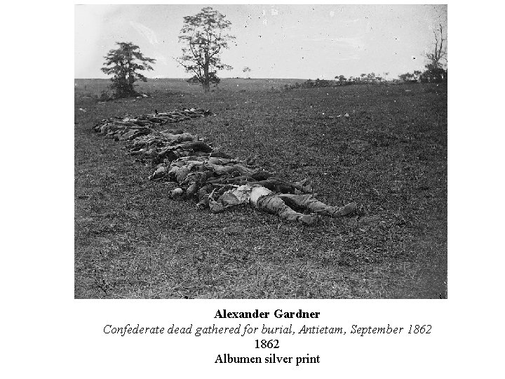 Alexander Gardner Confederate dead gathered for burial, Antietam, September 1862 Albumen silver print 