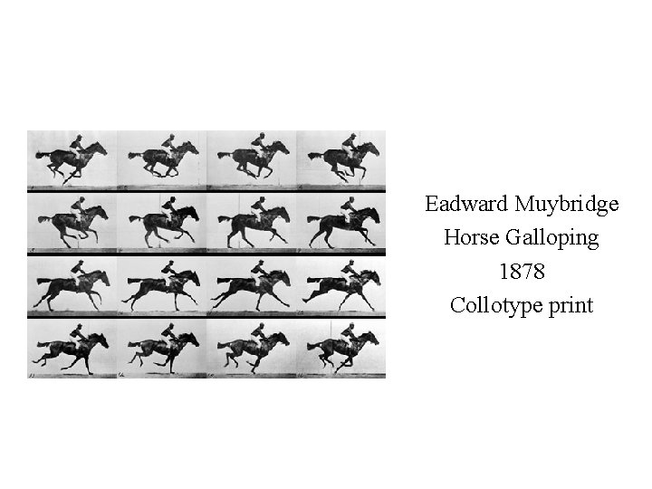 Eadward Muybridge Horse Galloping 1878 Collotype print 