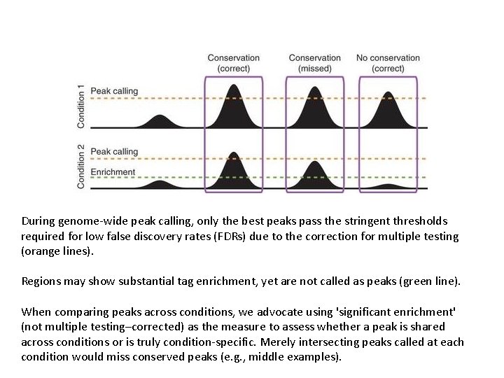 During genome-wide peak calling, only the best peaks pass the stringent thresholds required for