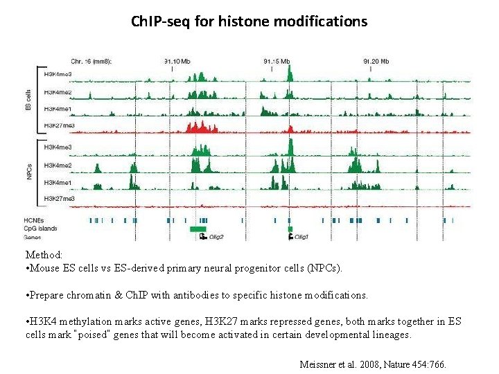 Ch. IP-seq for histone modifications Method: • Mouse ES cells vs ES-derived primary neural