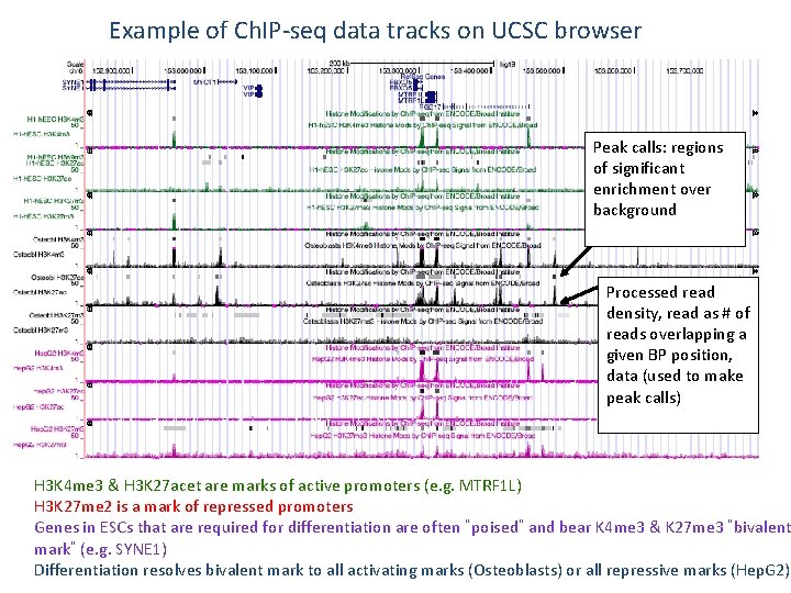 Example of Ch. IP-seq data tracks on UCSC browser Peak calls: regions of significant