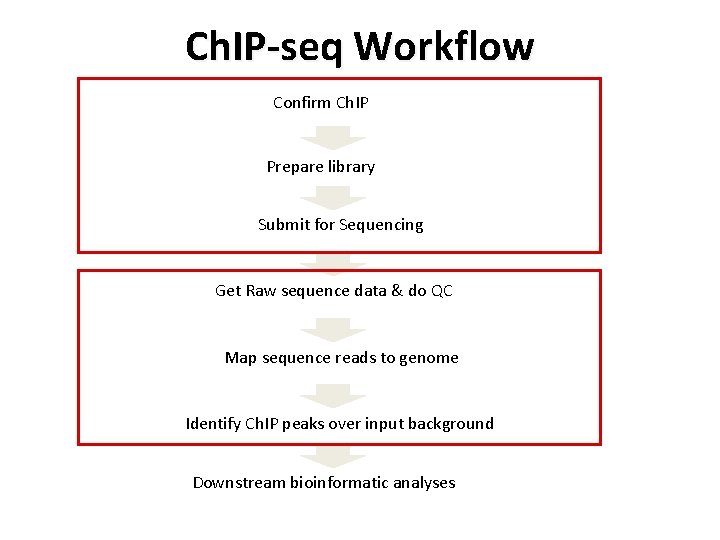 Ch. IP-seq Workflow Confirm Ch. IP Prepare library Submit for Sequencing Get Raw sequence