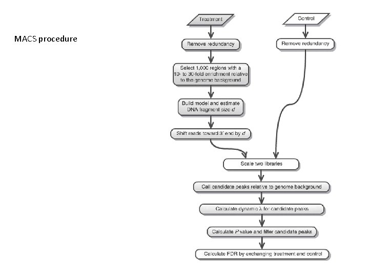 MACS procedure 