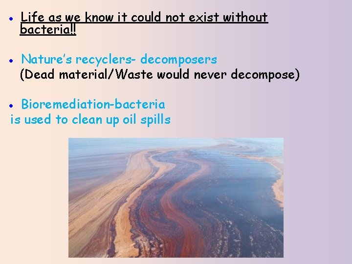 ● Life as we know it could not exist without bacteria!! ● Nature’s recyclers-
