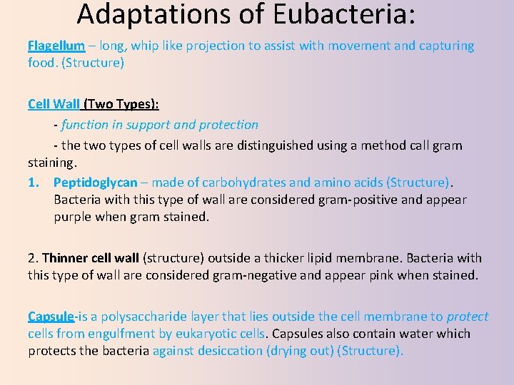 Adaptations of Eubacteria: Flagellum – long, whip like projection to assist with movement and