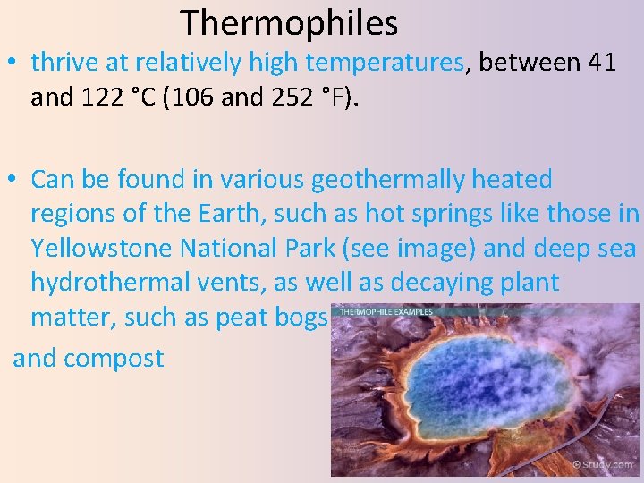Thermophiles • thrive at relatively high temperatures, between 41 and 122 °C (106 and