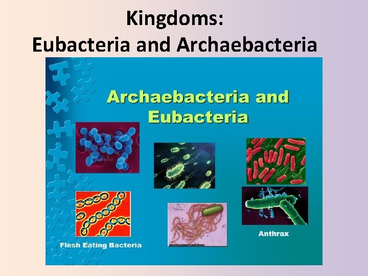 Kingdoms: Eubacteria and Archaebacteria 