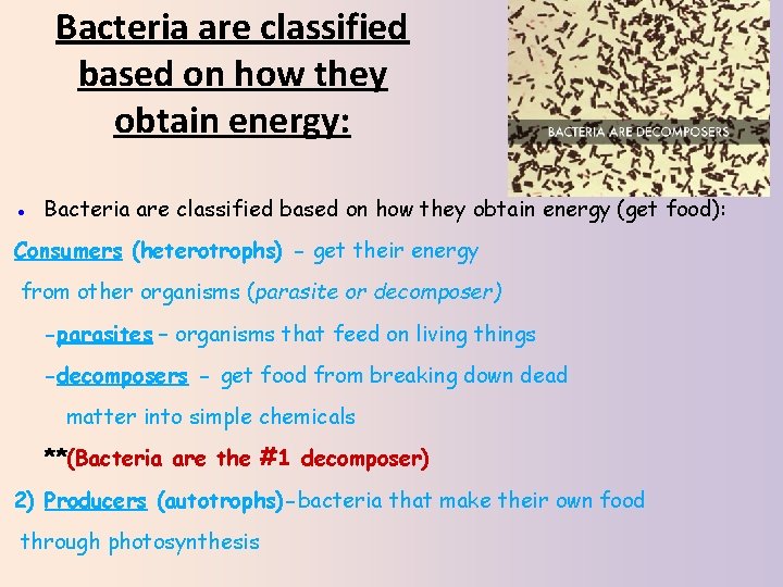 Bacteria are classified based on how they obtain energy: ● Bacteria are classified based