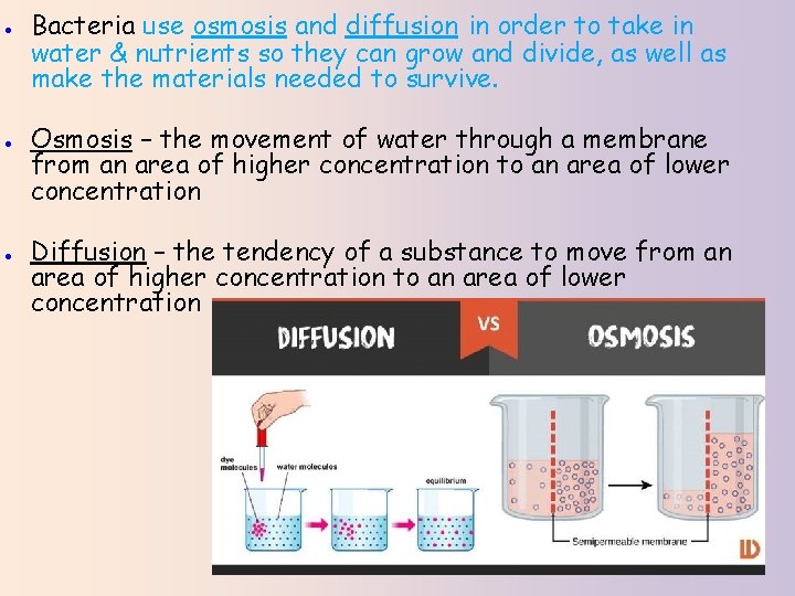 ● Bacteria use osmosis and diffusion in order to take in water & nutrients