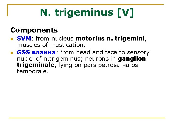 N. trigeminus [V] Components n n SVM: from nucleus motorius n. trigemini, muscles of