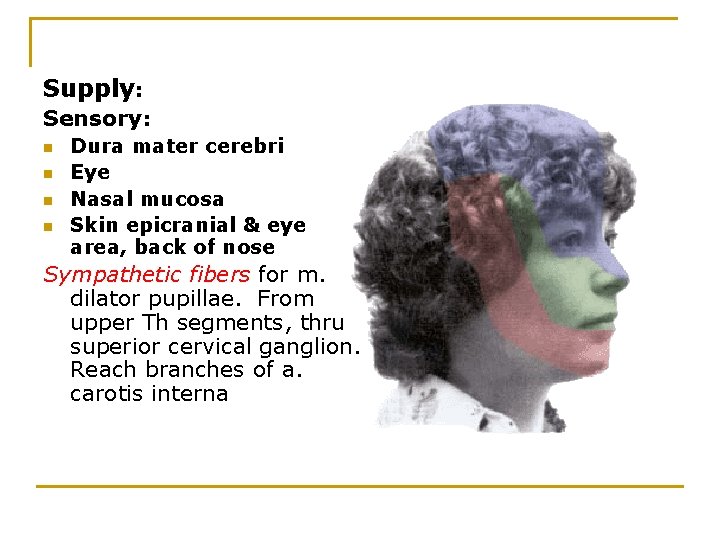 Supply: Sensory: n n Dura mater cerebri Eye Nasal mucosa Skin epicranial & eye