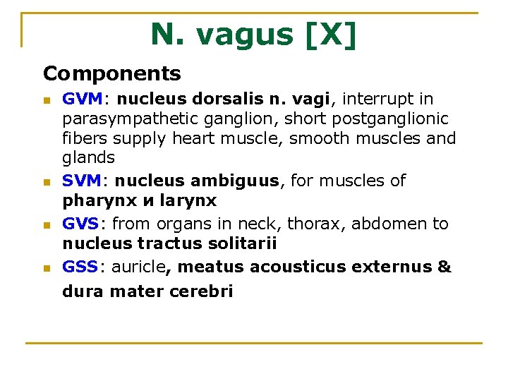 N. vagus [X] Components n n GVM: nucleus dorsalis n. vagi, interrupt in parasympathetic