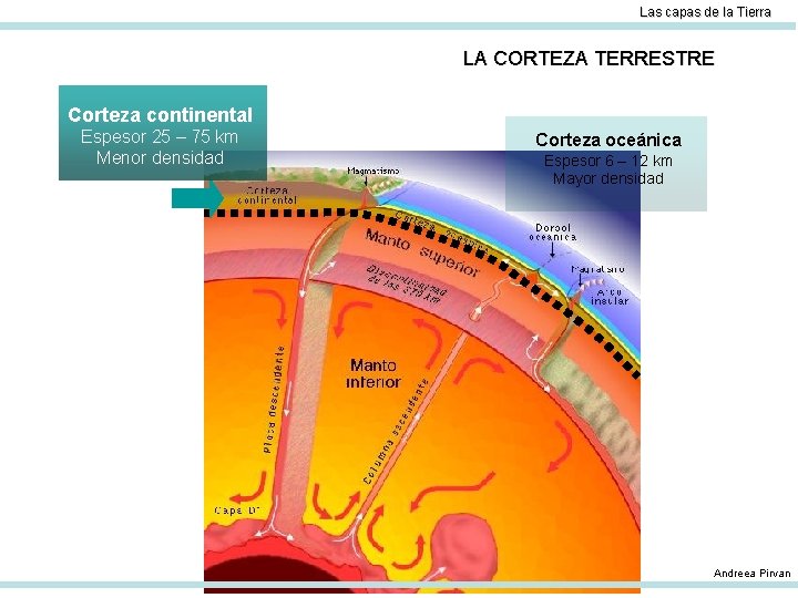 Las capas de la Tierra LA CORTEZA TERRESTRE Corteza continental Espesor 25 – 75