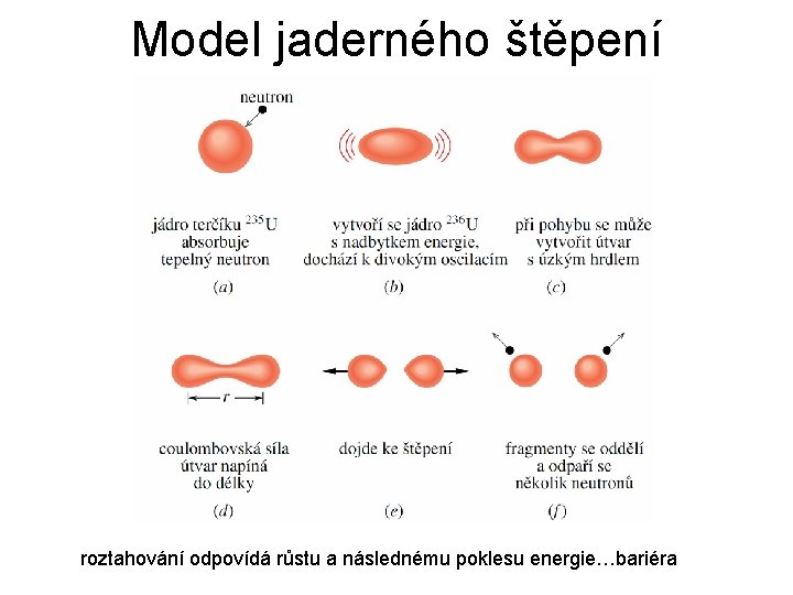 Model jaderného štěpení roztahování odpovídá růstu a následnému poklesu energie…bariéra 