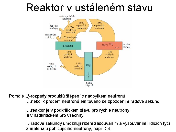 Reaktor v ustáleném stavu Pomalé -rozpady produktů štěpení s nadbytkem neutronů …několik procent neutronů