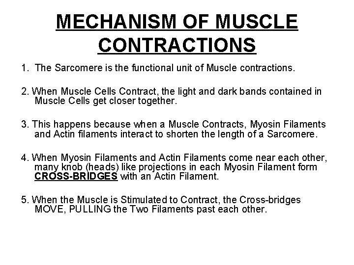 MECHANISM OF MUSCLE CONTRACTIONS 1. The Sarcomere is the functional unit of Muscle contractions.