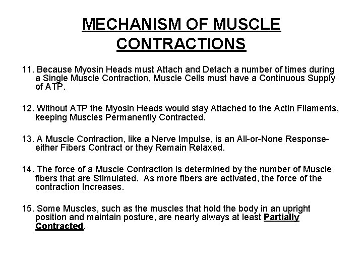 MECHANISM OF MUSCLE CONTRACTIONS 11. Because Myosin Heads must Attach and Detach a number