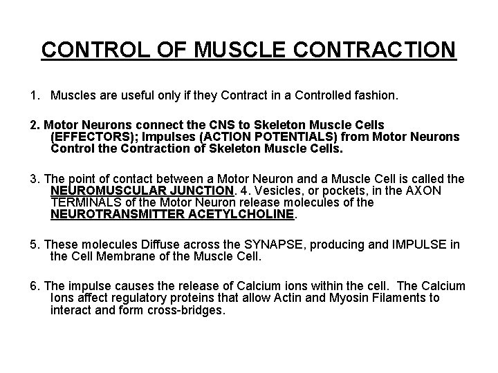 CONTROL OF MUSCLE CONTRACTION 1. Muscles are useful only if they Contract in a