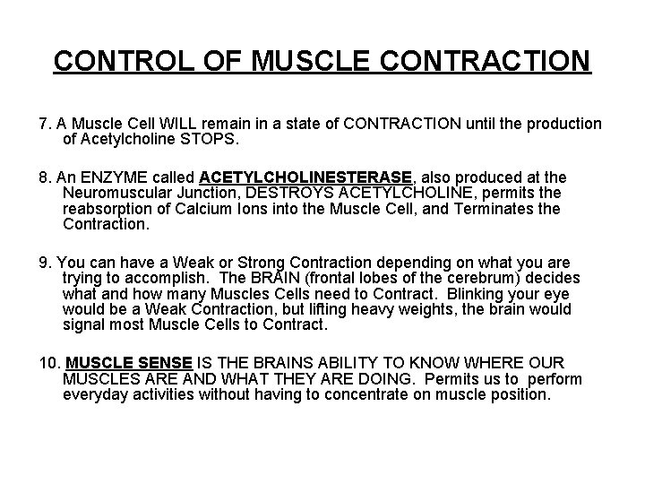 CONTROL OF MUSCLE CONTRACTION 7. A Muscle Cell WILL remain in a state of