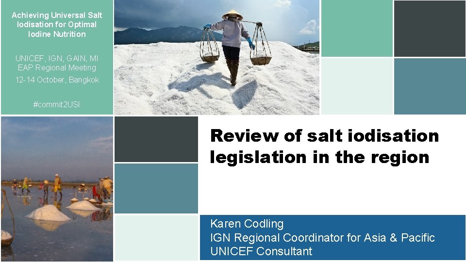 Achieving Universal Salt Iodisation for Optimal Iodine Nutrition UNICEF, IGN, GAIN, MI EAP Regional