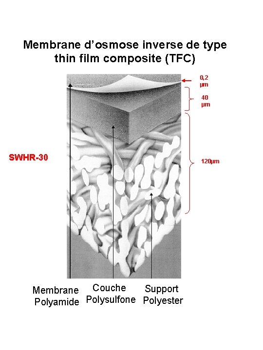 Membrane d’osmose inverse de type thin film composite (TFC) 0, 2 µm 40 µm