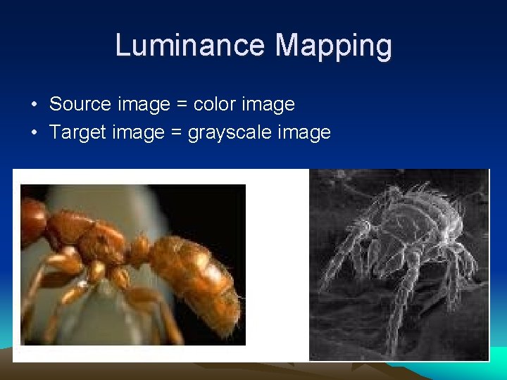 Luminance Mapping • Source image = color image • Target image = grayscale image Luminance Mapping • Source image = color image • Target image = grayscale image