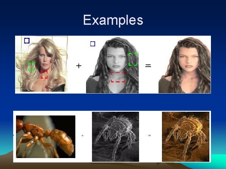 Examples Examples
