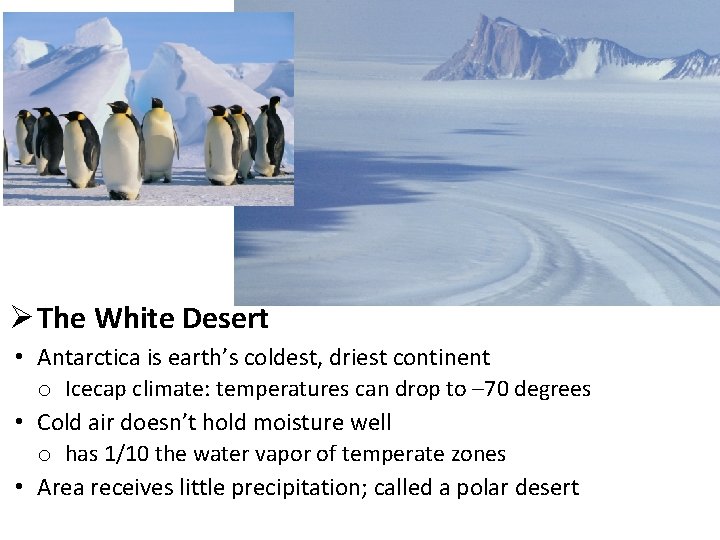 Ø The White Desert • Antarctica is earth’s coldest, driest continent o Icecap climate: