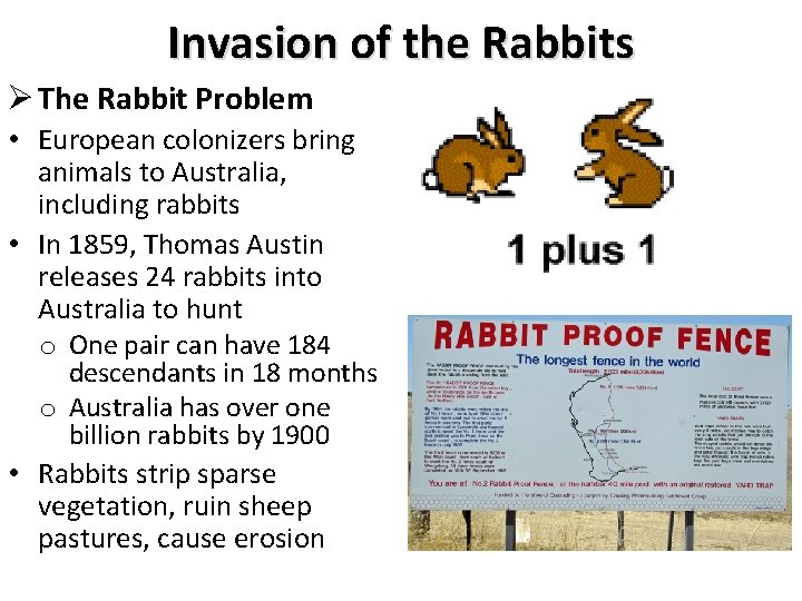 Invasion of the Rabbits Ø The Rabbit Problem • European colonizers bring animals to